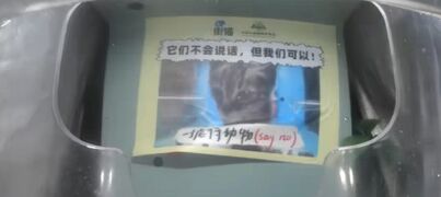 The poster hung in Happy Canteen that roughly reads: "They can't say anything, but we can! Stop animal abuse."