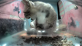 Mr. Rocket screaming.