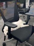 Ms. Cloud sleeping in a office chair