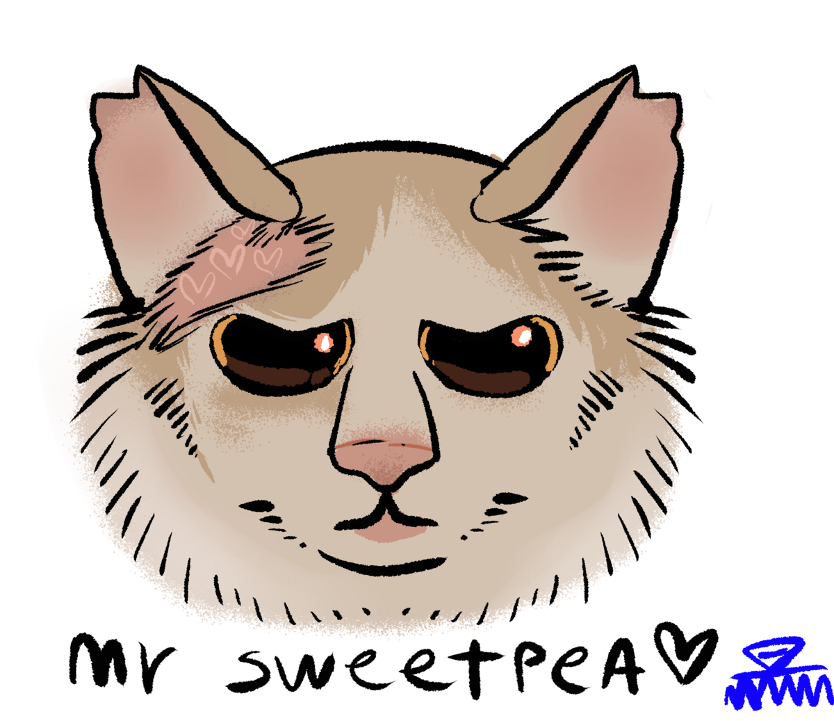 mr-sweetpea-streetcatwiki