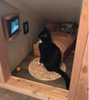 Cat tiny house.png