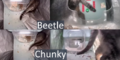 Ms. Beetle vs. Ms. Chunky (tail)