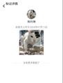 Mr. Russia's cat profile