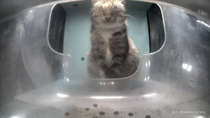 Hubert nap.webp