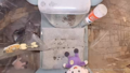 Thumbnail for version as of 15:44, 25 February 2025