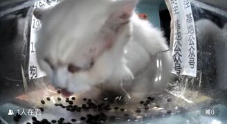 Snow Miser mlems while he eats