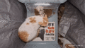 After Mr. Egg escapes, Dr. Smudge begins to loudly hiss and growl at Mr. Chicken, who has not entered yet. (GIF)